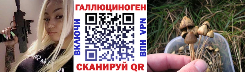 ссылка на мегу ТОР  Кунгур  Псилоцибиновые грибы Magic Shrooms 